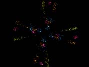 pic16.JPG (5270 bytes)