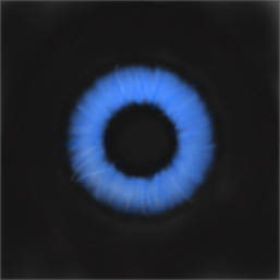 iriscolor.jpg (9612 bytes)